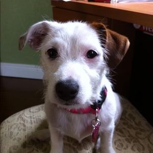 Meet your Posher, Janet